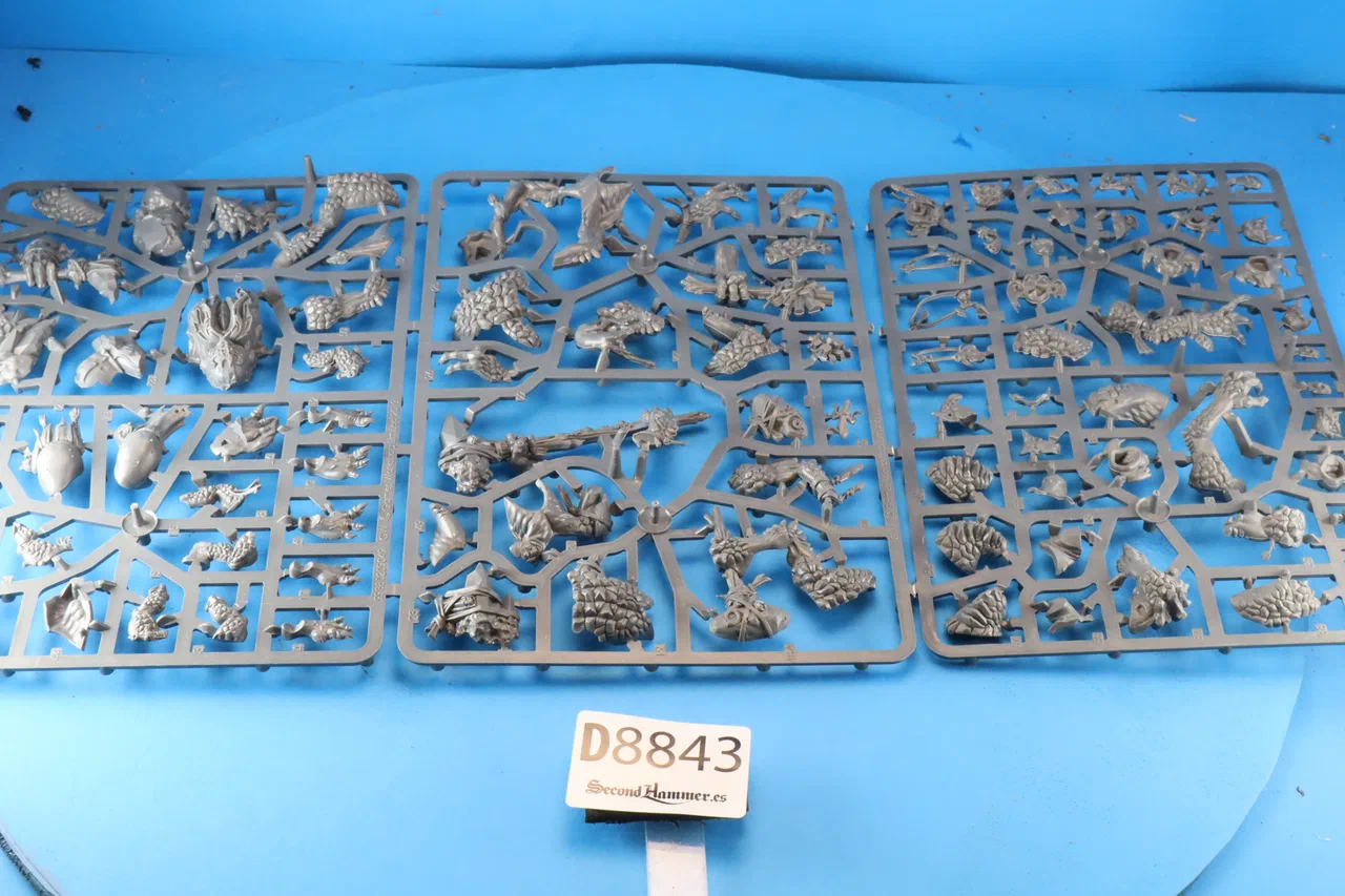 First slide